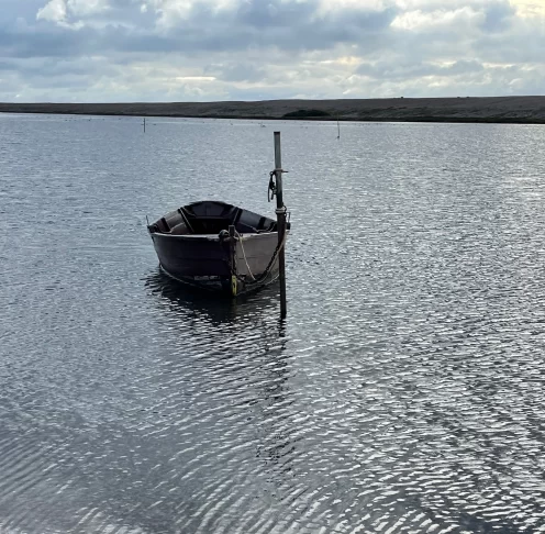 Stephanie Davis Psychotherapy