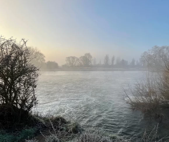 Stephanie Davis Psychotherapy