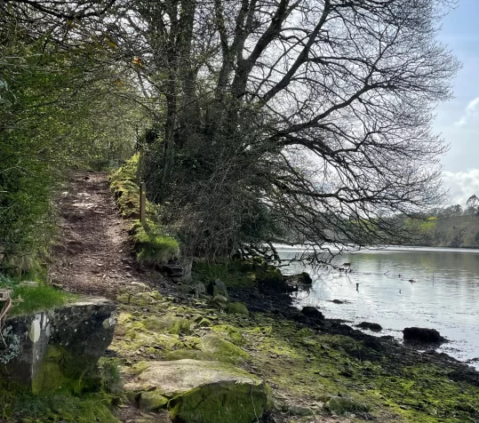 Stephanie Davis Psychotherapy